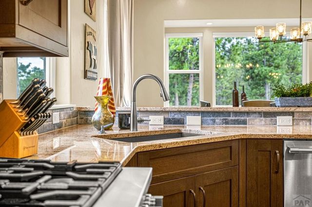 1325 Boldmere Ct, Monument, CO 80132