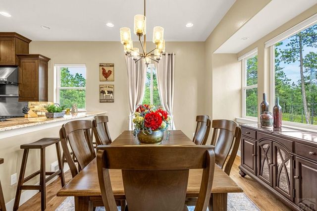 1325 Boldmere Ct, Monument, CO 80132