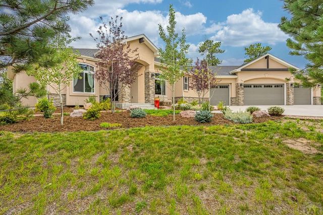 1325 Boldmere Ct, Monument, CO 80132