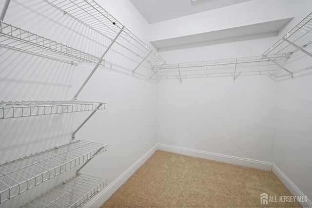 103 Sequoia Court 11, Princeton, NJ 08540