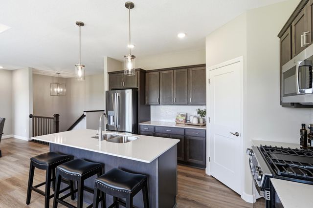 743 Goldenrod Court, Delano, MN 55328