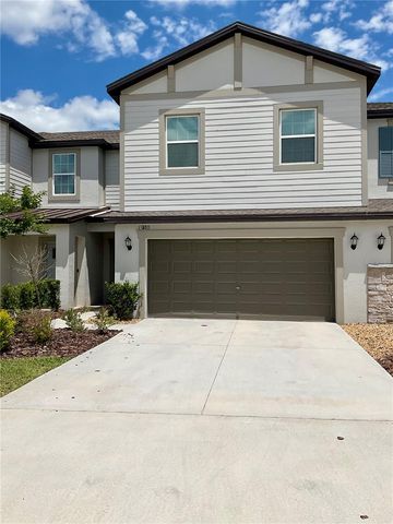 10380 LAVENDER ASTER TRAIL, San Antonio, FL 33576