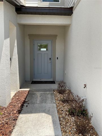 10380 LAVENDER ASTER TRAIL, San Antonio, FL 33576
