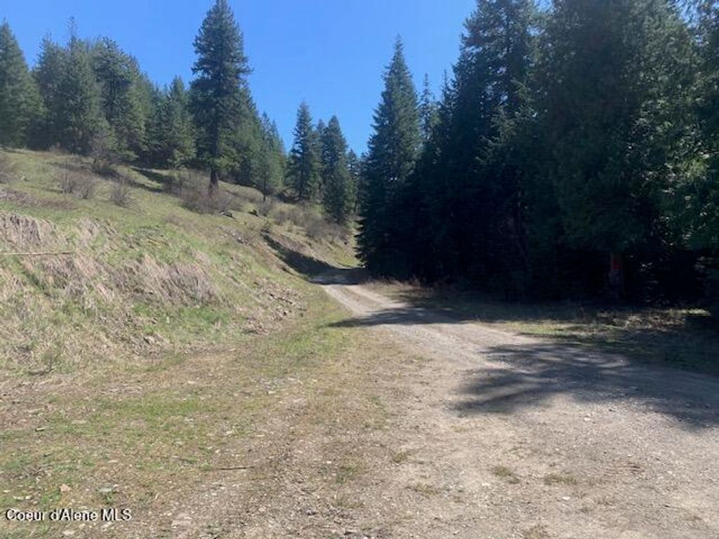 Carlin Creek Rd #256, Harrison, ID 83833 photo 10