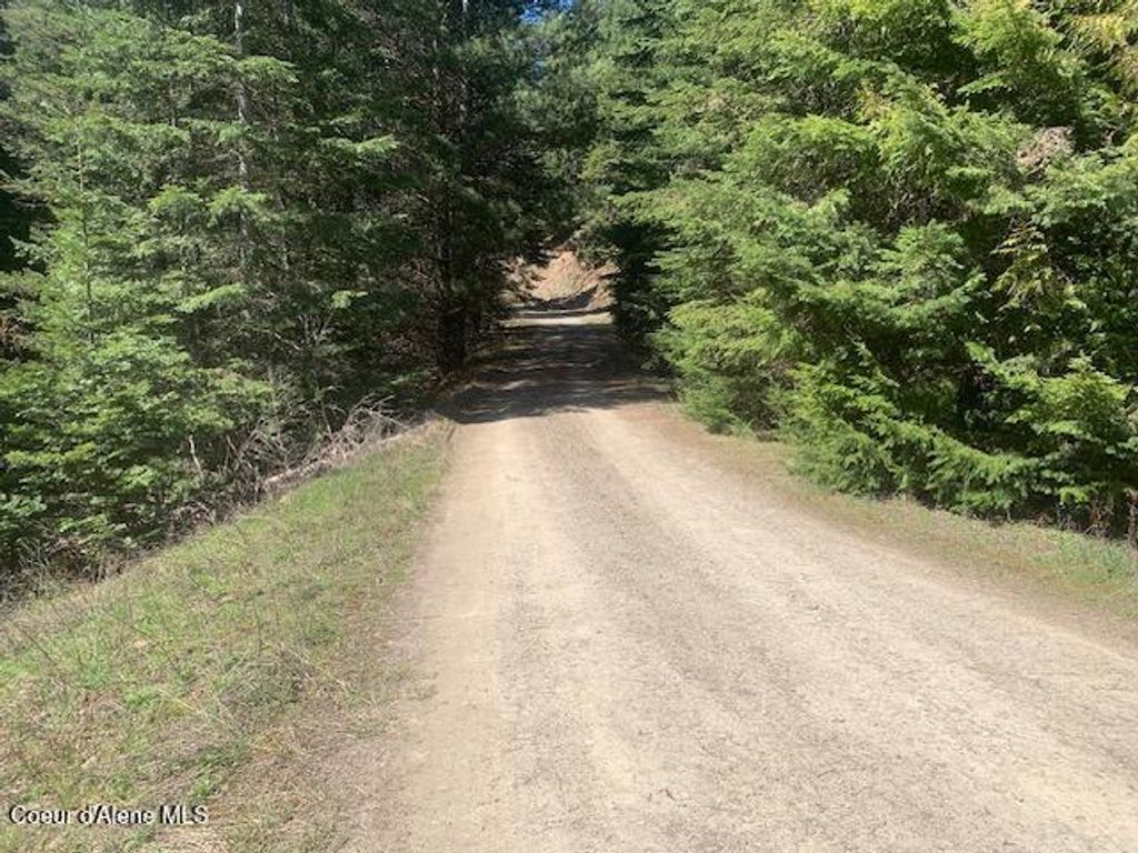 Carlin Creek Rd #256, Harrison, ID 83833 photo 12