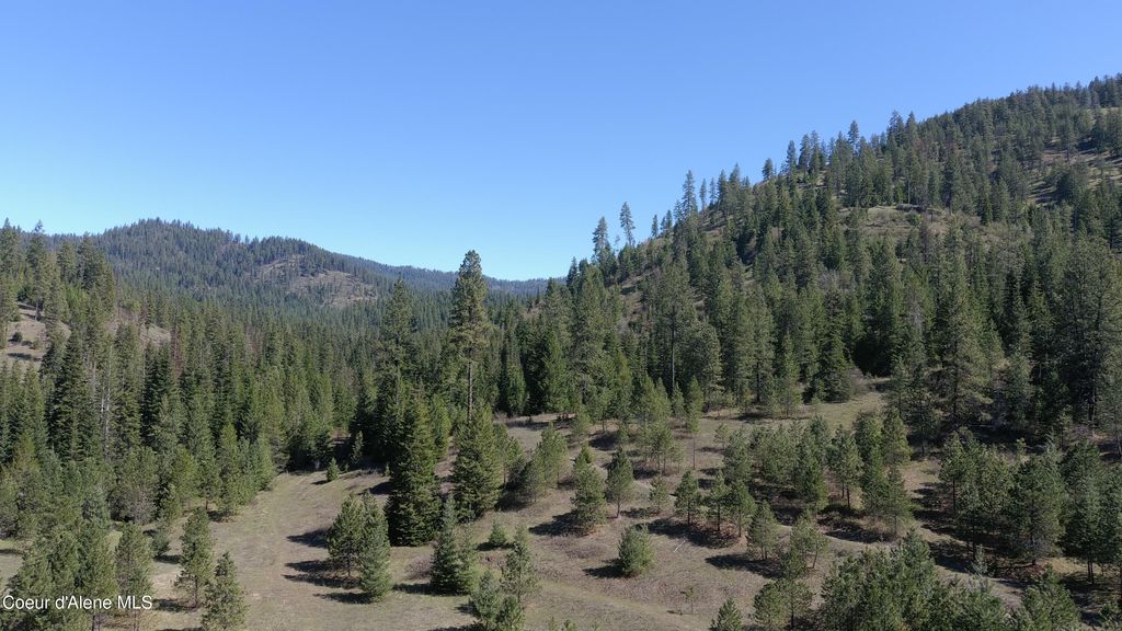 Carlin Creek Rd #256, Harrison, ID 83833 photo 15