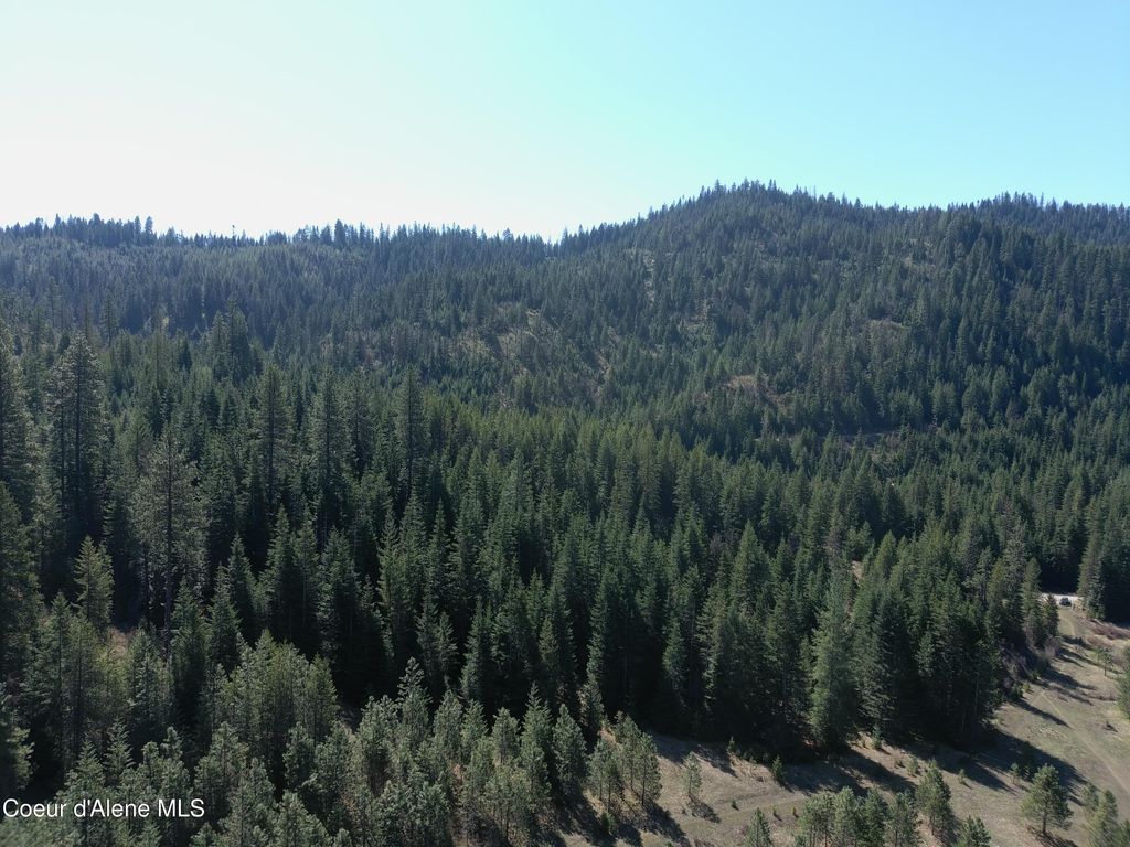 Carlin Creek Rd #256, Harrison, ID 83833 photo 16