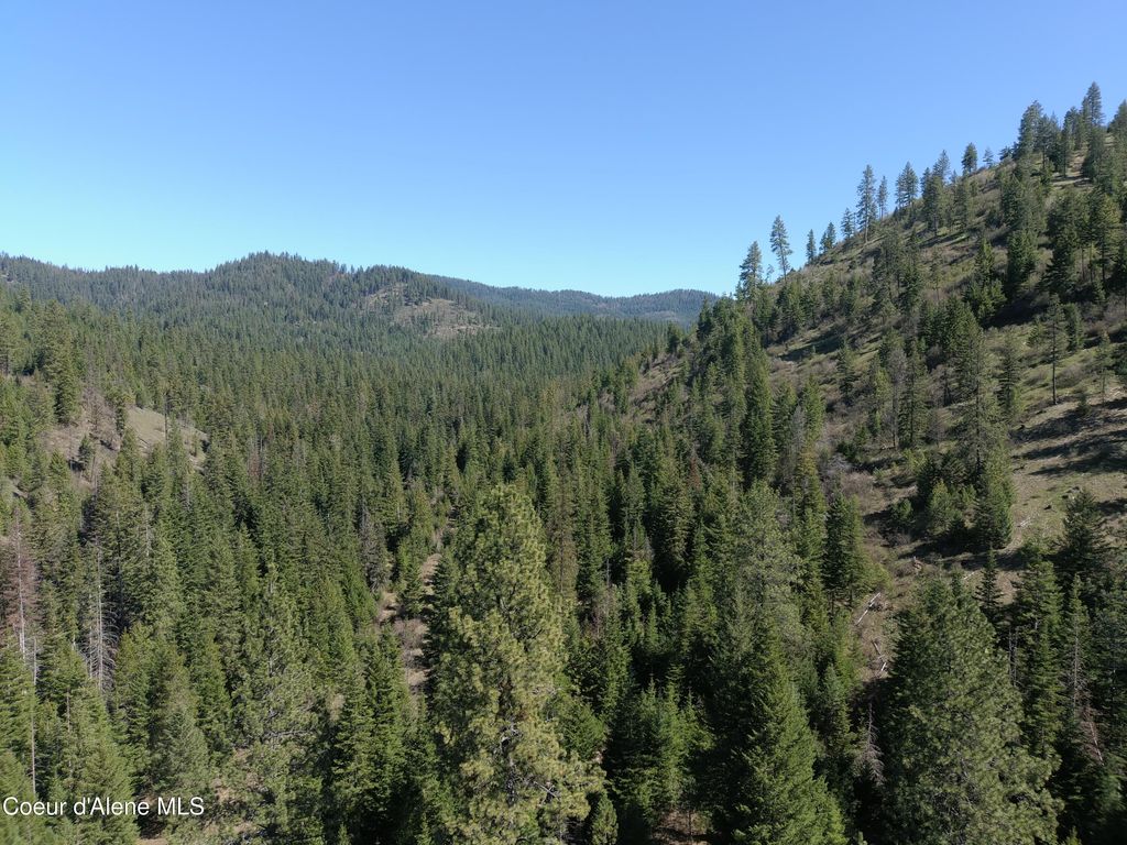 Carlin Creek Rd #256, Harrison, ID 83833 photo 17