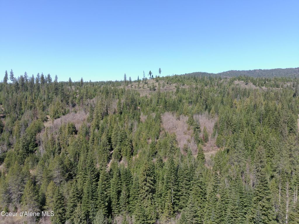 Carlin Creek Rd #256, Harrison, ID 83833 photo 18