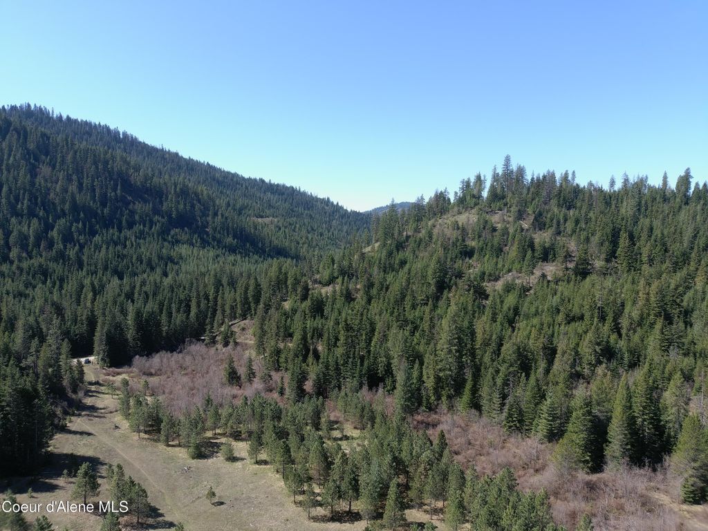 Carlin Creek Rd #256, Harrison, ID 83833 photo 19
