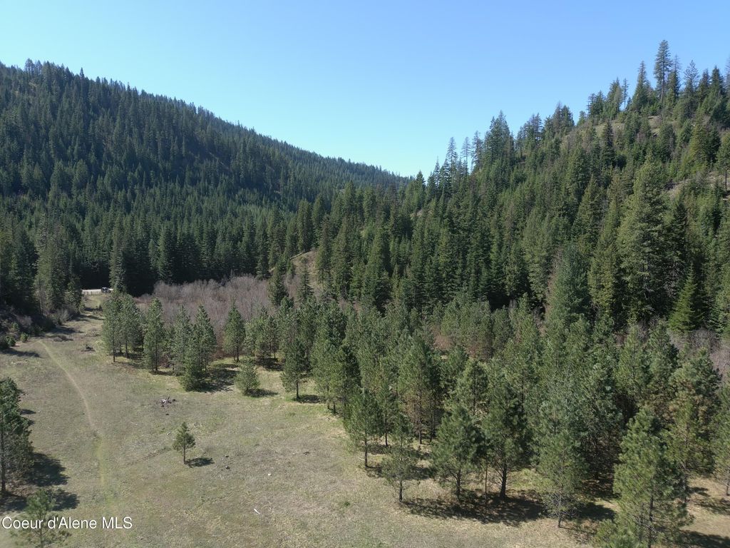 Carlin Creek Rd #256, Harrison, ID 83833 photo 20