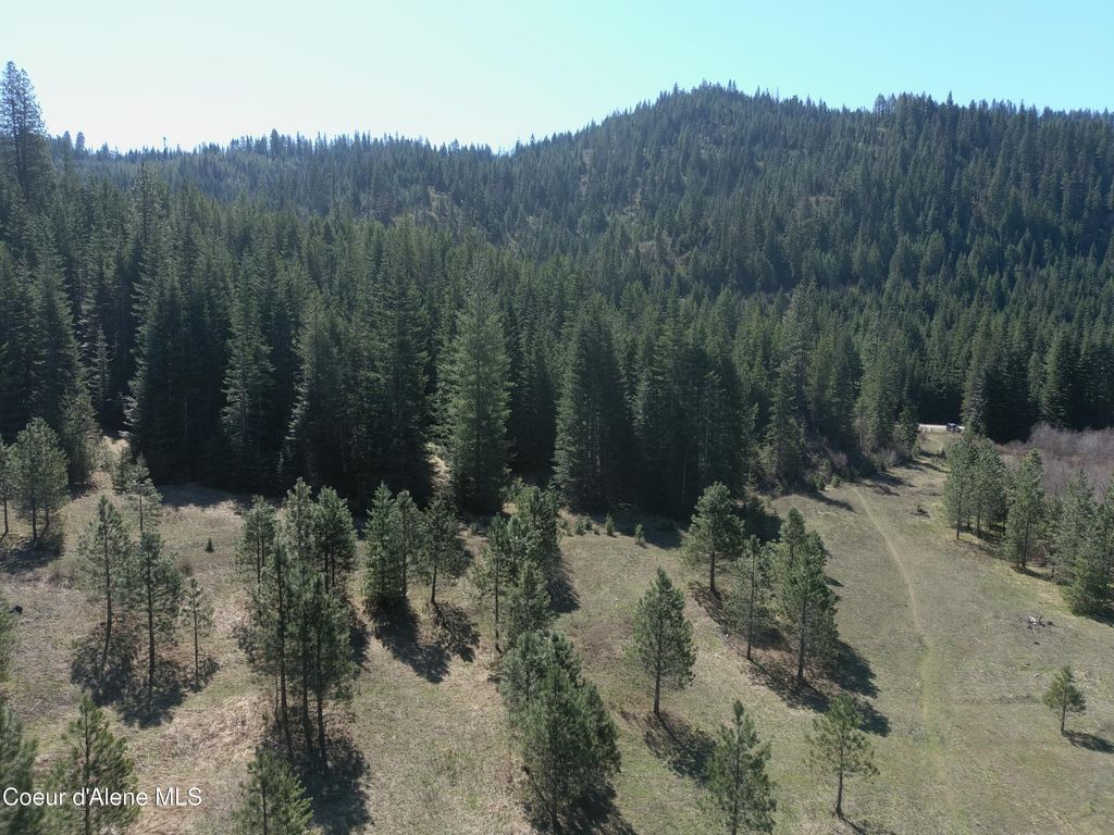 Carlin Creek Rd #256, Harrison, ID 83833 photo 21