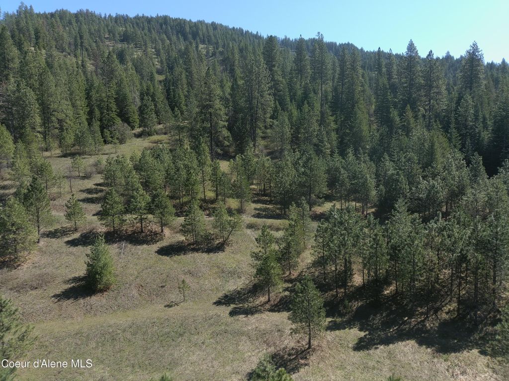 Carlin Creek Rd #256, Harrison, ID 83833 photo 22