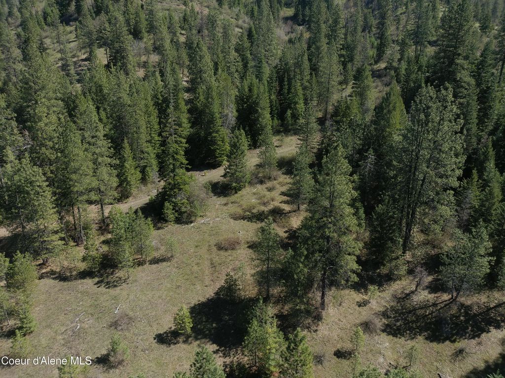 Carlin Creek Rd #256, Harrison, ID 83833 photo 23