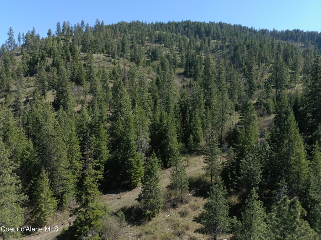 Carlin Creek Rd #256, Harrison, ID 83833 photo 24