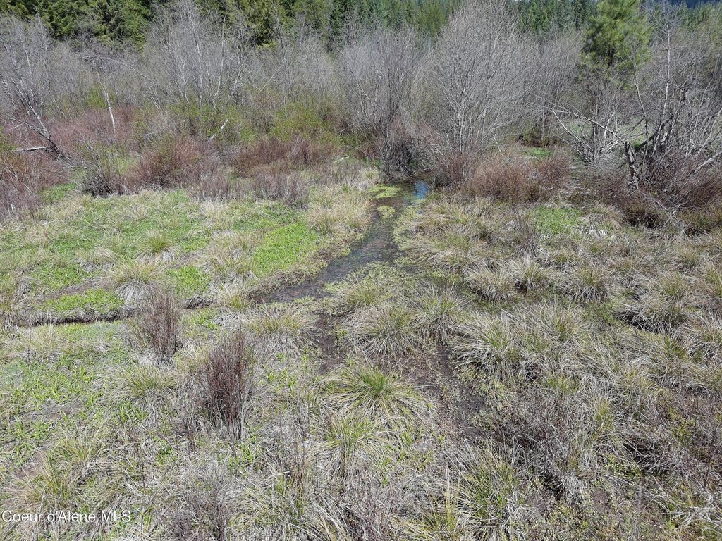 Carlin Creek Rd #256, Harrison, ID 83833 photo 25
