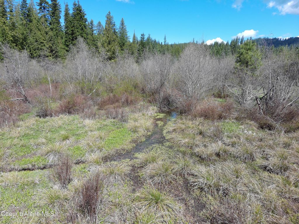 Carlin Creek Rd #256, Harrison, ID 83833 photo 26