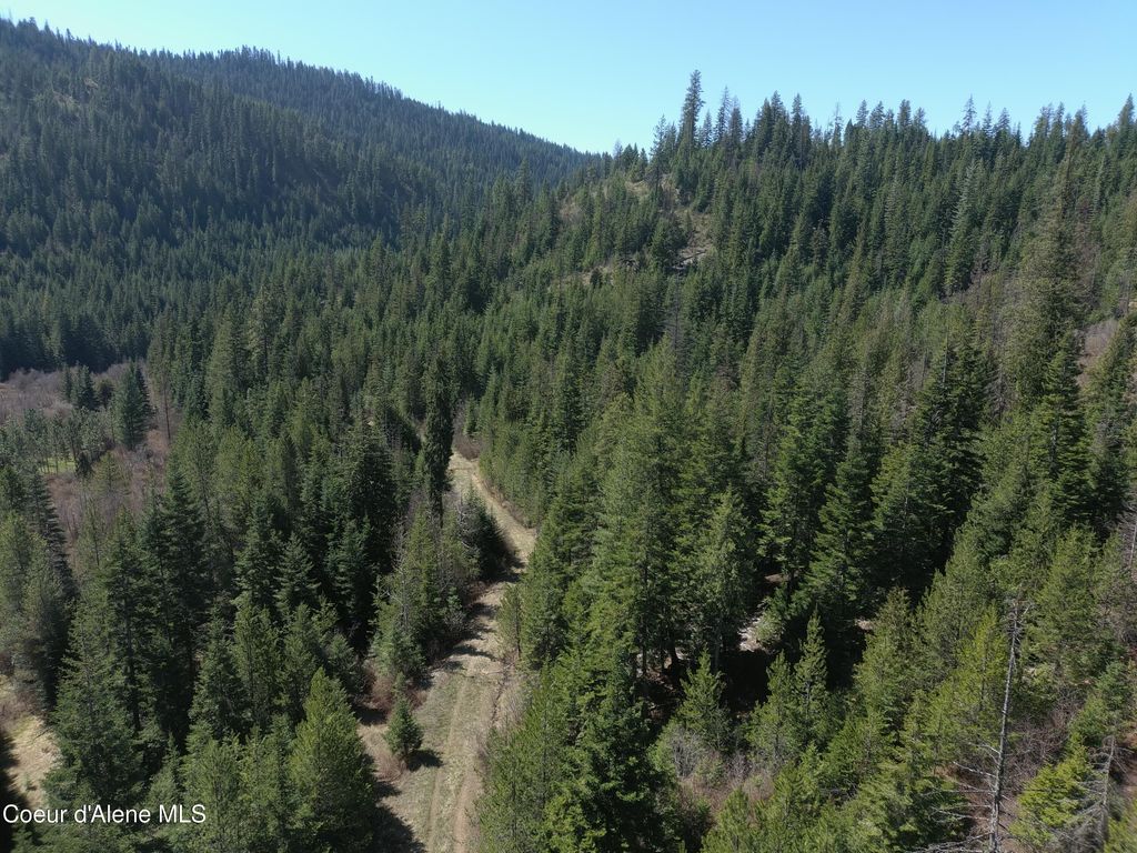 Carlin Creek Rd #256, Harrison, ID 83833 photo 27