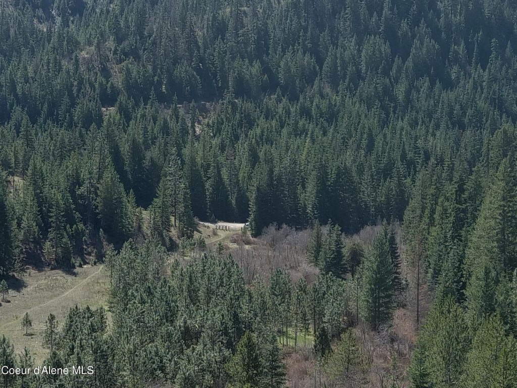 Carlin Creek Rd #256, Harrison, ID 83833 photo 28