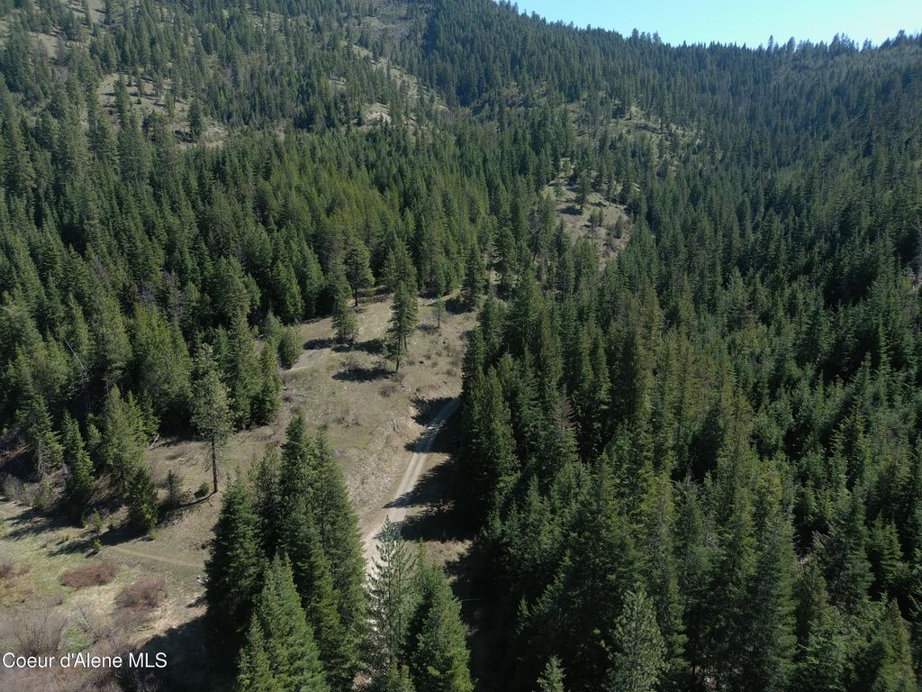 Carlin Creek Rd #256, Harrison, ID 83833 photo 31