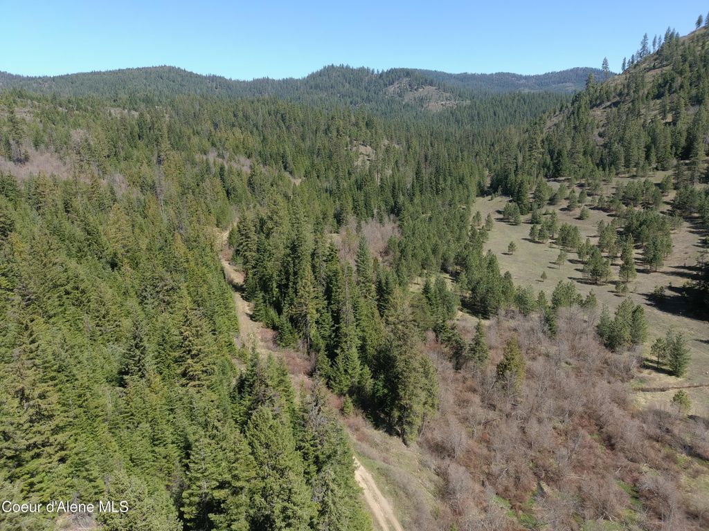 Carlin Creek Rd #256, Harrison, ID 83833 photo 32