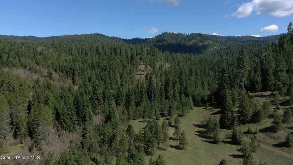 Carlin Creek Rd #256, Harrison, ID 83833 photo 4