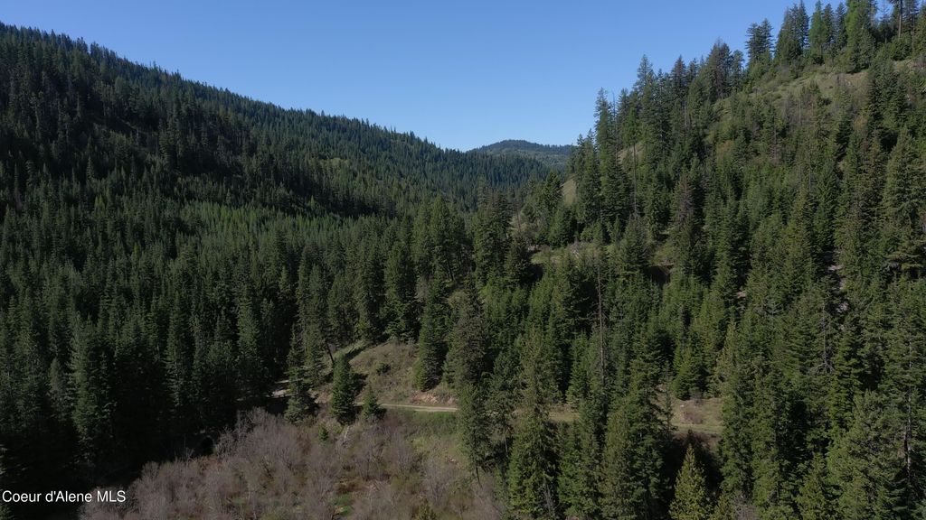 Carlin Creek Rd #256, Harrison, ID 83833 photo 5