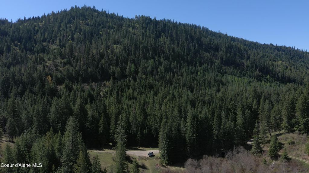 Carlin Creek Rd #256, Harrison, ID 83833 photo 6