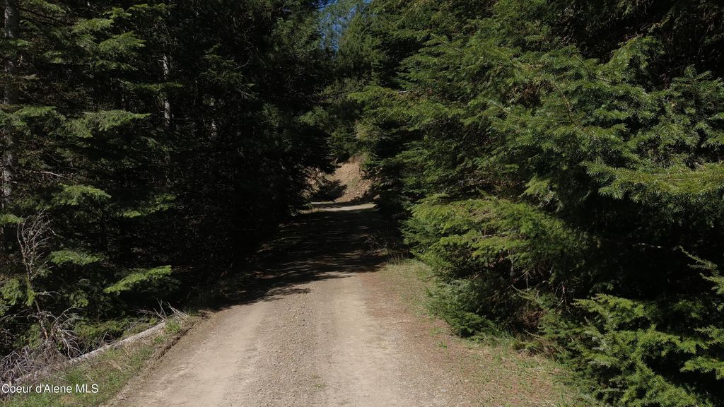 Carlin Creek Rd #256, Harrison, ID 83833 photo 7