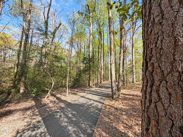 198 Eagle Rock Drive, Lillington, NC 27546
