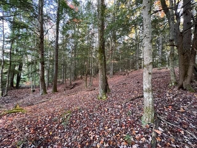 75 Clark Mill Road, Weare, NH 03281