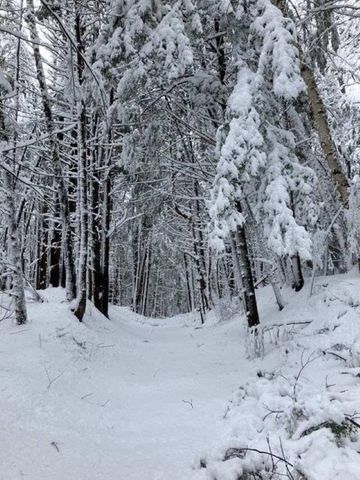 75 Clark Mill Road, Weare, NH 03281