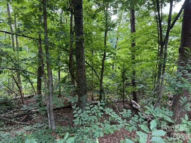 00 Chisholm Trail, Rutherfordton, NC 28139