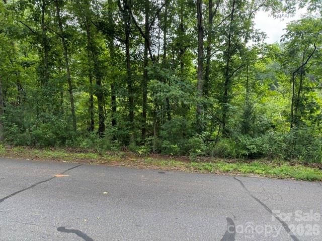 00 Chisholm Trail, Rutherfordton, NC 28139