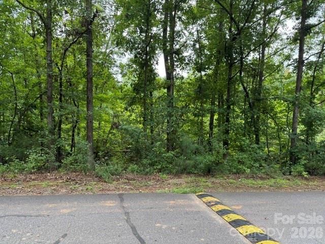 00 Chisholm Trail, Rutherfordton, NC 28139