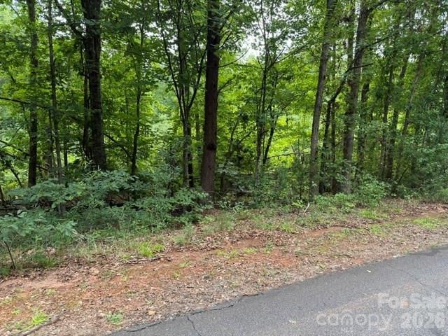 00 Chisholm Trail, Rutherfordton, NC 28139