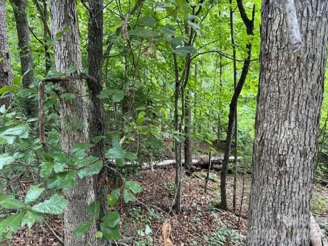 00 Chisholm Trail, Rutherfordton, NC 28139
