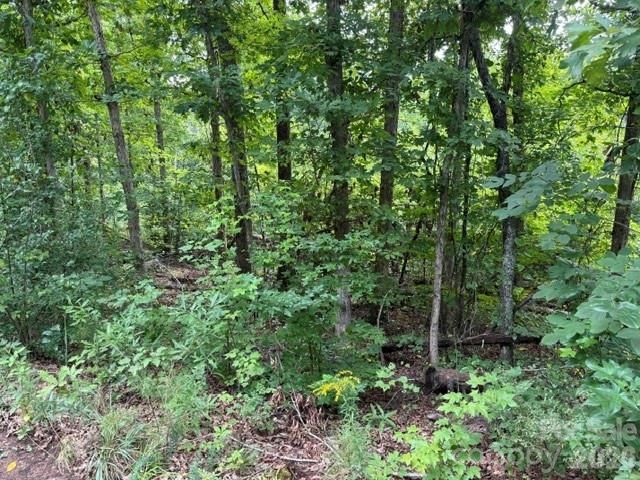 00 Chisholm Trail, Rutherfordton, NC 28139