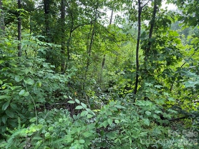 00 Chisholm Trail, Rutherfordton, NC 28139