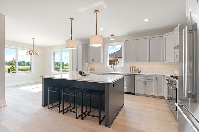 11049 Lizmore Lane 40B, Orland Park, IL 60467