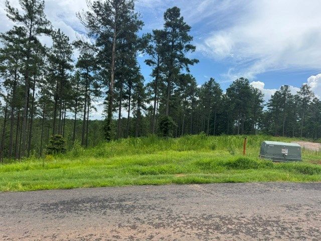 Lot 88 Springfield Parkway, Ellijay, GA 30540
