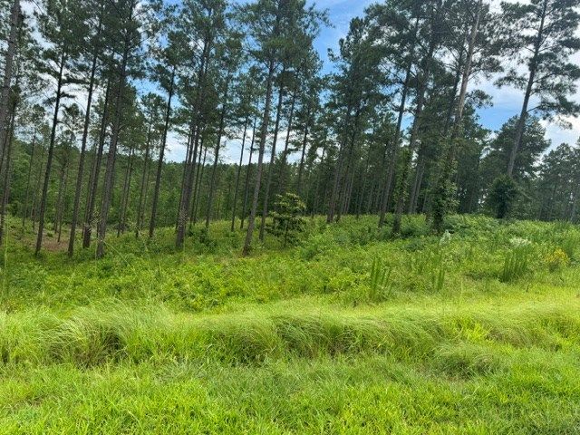 Lot 88 Springfield Parkway, Ellijay, GA 30540
