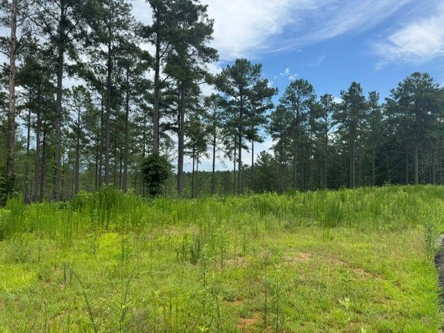 Lot 88 Springfield Parkway, Ellijay, GA 30540