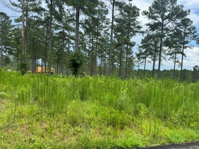 Lot 88 Springfield Parkway, Ellijay, GA 30540