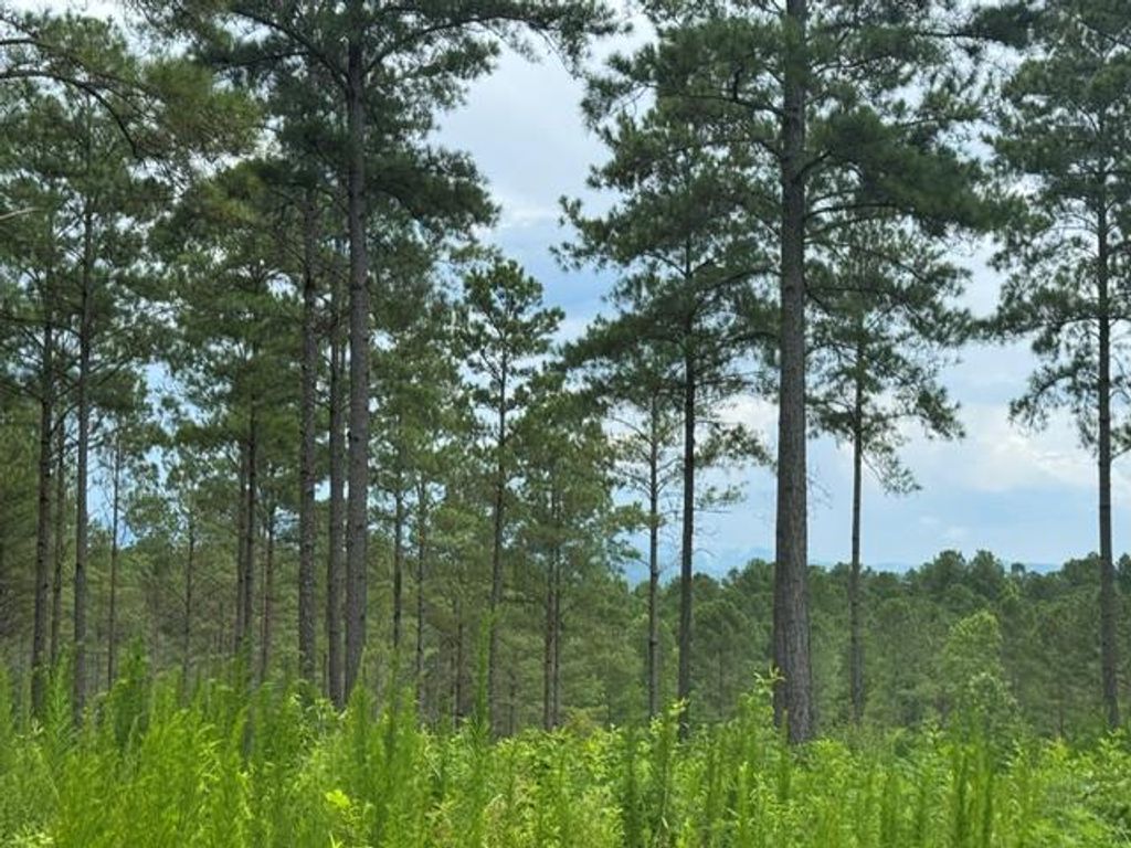 Lot 88 Springfield Parkway, Ellijay, GA 30540