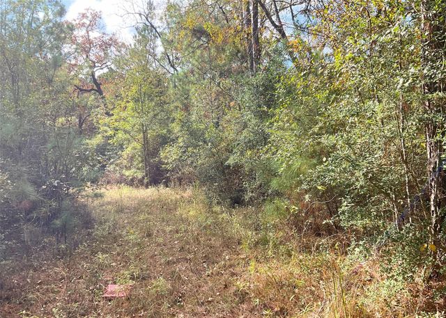 0 Frank Cloud Road, Huntsville, TX 77320