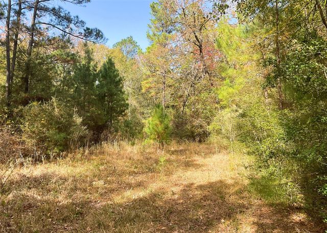 0 Frank Cloud Road, Huntsville, TX 77320