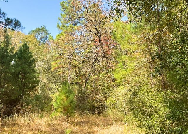 0 Frank Cloud Road, Huntsville, TX 77320