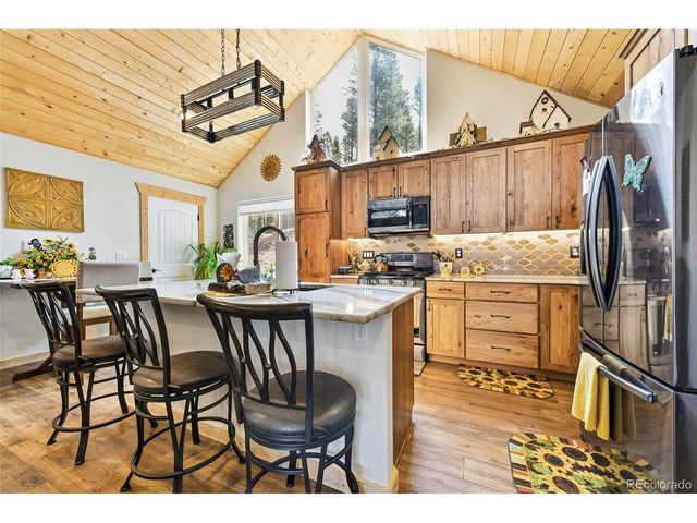 100 Wildcat Creek Dr, Florissant, CO 80816