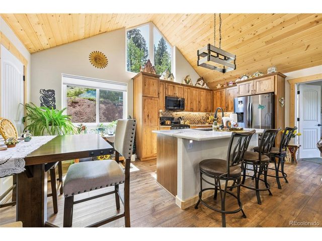 100 Wildcat Creek Dr, Florissant, CO 80816